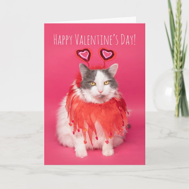 Cartes Pour Fêtes Annuelles Joyeuse Saint-Valentin Chat Chaud et Douillet (Devant)