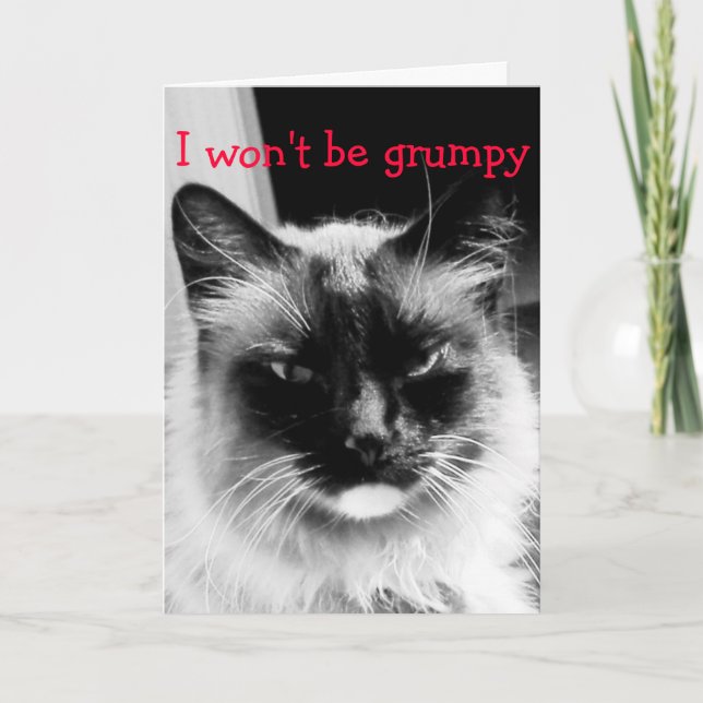 Cartes Pour Fêtes Annuelles Joyeuse Saint-Valentin Chat Froncé (Devant)