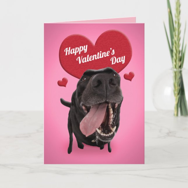 Cartes Pour Fêtes Annuelles Joyeuse Saint-Valentin Humour de Chien Mignon (Devant)