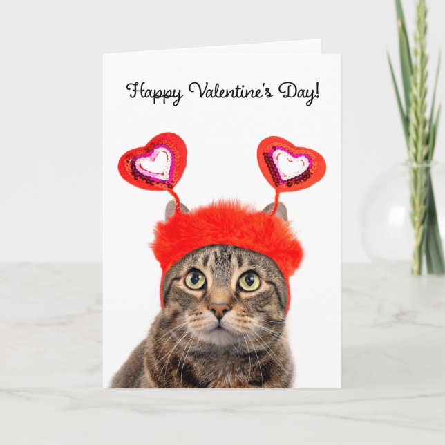 Cartes Pour Fêtes Annuelles Joyeuse Saint-Valentin Pour N'importe Quel Chat Ti (Devant)