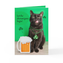 Joyeuse St Patrick avec un chat drôle et de la biè