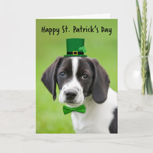 Cartes Pour Fêtes Annuelles Joyeuse St Patrick pour tout joli bébé Beagle (Devant)