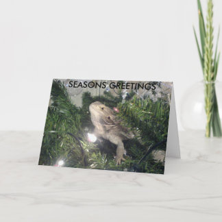 CARTES POUR FÊTES ANNUELLES JOYEUSES FÊTES