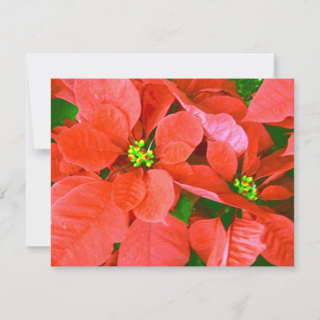 Cartes Pour Fêtes Annuelles Joyeuses Fêtes_ (Devant)