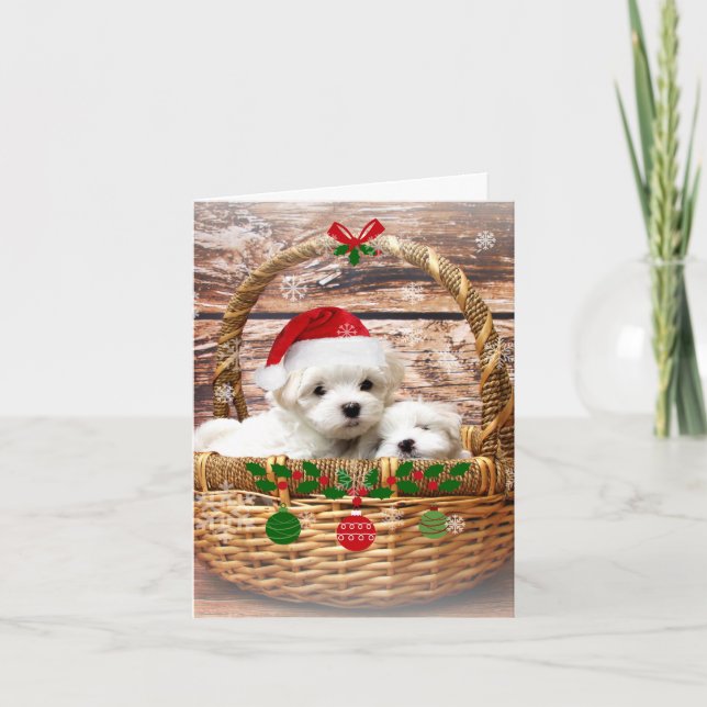 Cartes Pour Fêtes Annuelles Joyeuses fêtes, adorables chiots maltais (Devant)