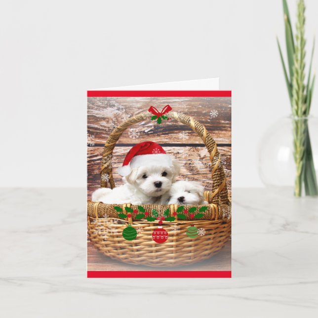 Cartes Pour Fêtes Annuelles Joyeuses fêtes : Chiots maltais (Devant)