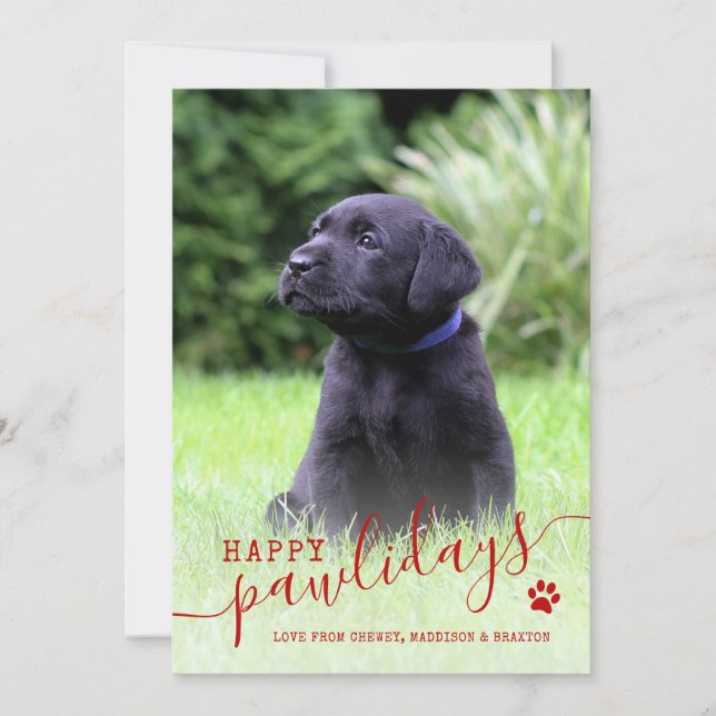 Cartes Pour Fêtes Annuelles Joyeuses Fêtes de fin d'année Photo de chien Noël  (Devant)