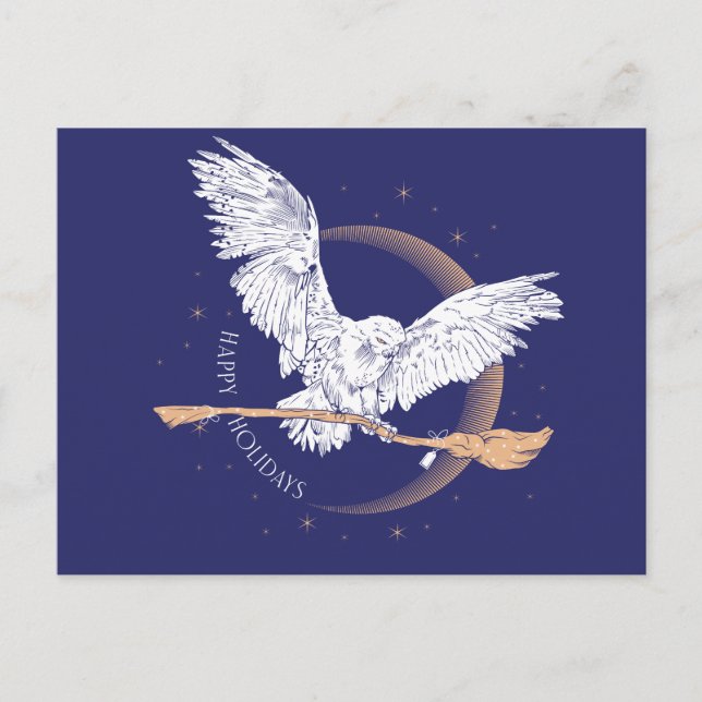 Cartes Pour Fêtes Annuelles Joyeuses Fêtes Livraison Hedwig (Devant)