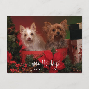 Cartes Pour Fêtes Annuelles Joyeuses Fêtes Yorkie et ses Amis