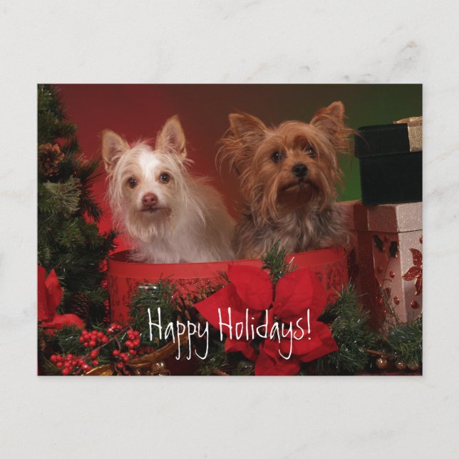 Cartes Pour Fêtes Annuelles Joyeuses Fêtes Yorkie et ses Amis (Devant)