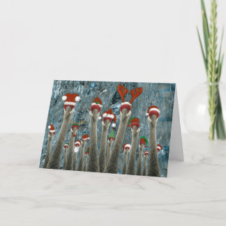 Cartes Pour Fêtes Annuelles Joyeuses 'grues parmi nous