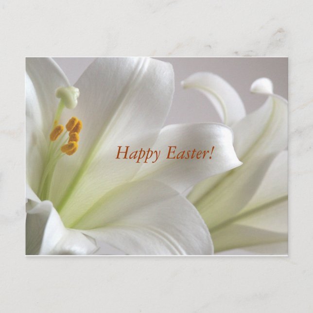 Cartes Pour Fêtes Annuelles Joyeuses Pâques (Devant)