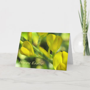 Cartes Pour Fêtes Annuelles Joyeuses Pâques