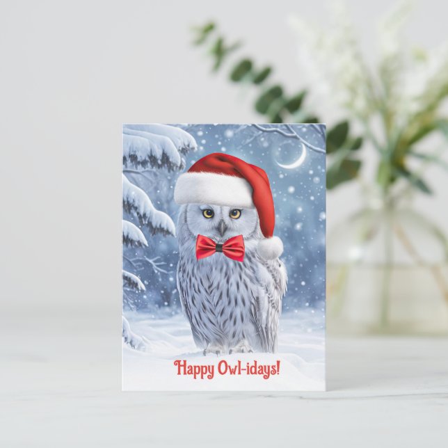 Cartes Pour Fêtes Annuelles Joyeuses vacances avec la chouette et la neige (Debout devant)
