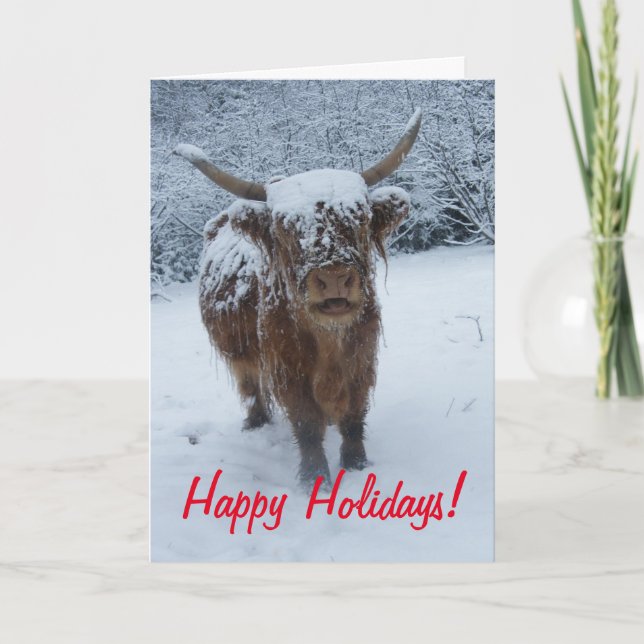 Cartes Pour Fêtes Annuelles Joyeuses Vacances Vache Highland (Devant)