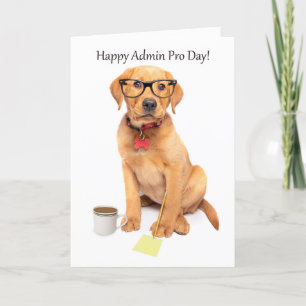 Cartes Pour Fêtes Annuelles Joyeux administrateur professionnel jour Cute Lab 