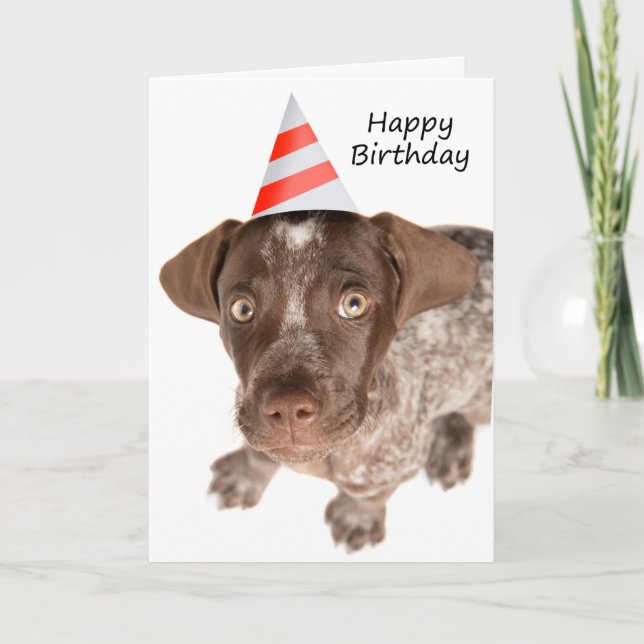 Cartes Pour Fêtes Annuelles Joyeux Anniversaire Allemand Pointeur à cheveux co (Devant)
