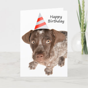 Cartes Pour Fêtes Annuelles Joyeux Anniversaire Allemand Pointeur à cheveux co