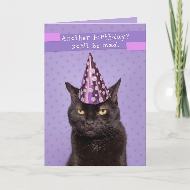 Cartes Pour Fêtes Annuelles Joyeux anniversaire Chat malheureux dans l'Humour  (Devant)