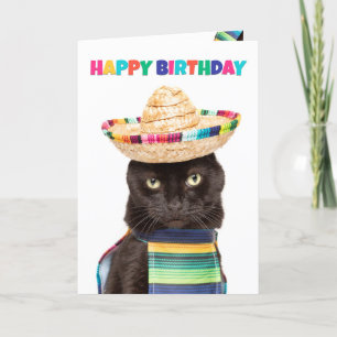 Cartes Pour Fêtes Annuelles Joyeux Anniversaire Cute Black Chat en Sombrerro