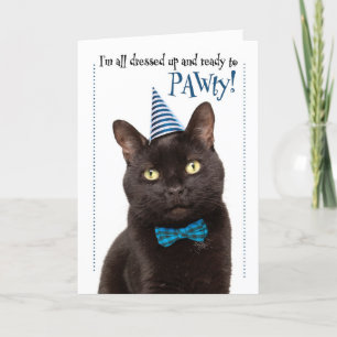 Cartes Pour Fêtes Annuelles Joyeux Anniversaire Cute Chat dans Casquette de fê