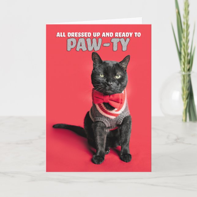 Cartes Pour Fêtes Annuelles Joyeux Anniversaire Cute Chat habillé en Sweater (Devant)