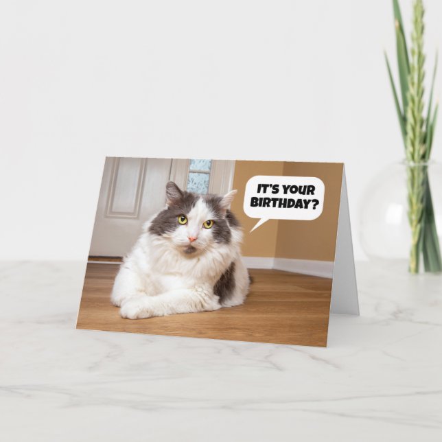 Cartes Pour Fêtes Annuelles Joyeux Anniversaire De L'Humour Chat (Devant)