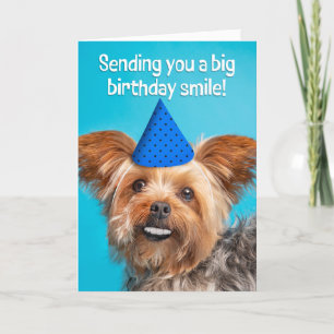 Cartes Pour Fêtes Annuelles Joyeux Anniversaire Drôle Chien Yorkie Avec Dents