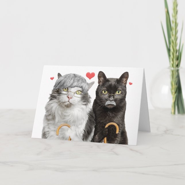 Cartes Pour Fêtes Annuelles Joyeux Anniversaire Funny Vieux Chat Couple (Devant)