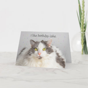 Cartes Pour Fêtes Annuelles Joyeux Anniversaire Graisse Chat aime Gâteau d'Ann