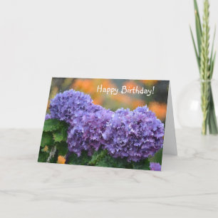 Cartes Pour Fêtes Annuelles Joyeux Anniversaire Impressionniste Purple Hydrang