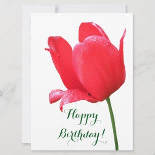 Cartes Pour Fêtes Annuelles Joyeux anniversaire jolie tulipe rouge floral élég