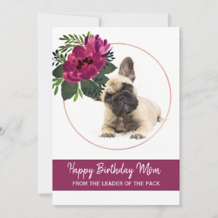 Cartes Pour Fêtes Annuelles Joyeux anniversaire Maman Français Bulldog Photo G