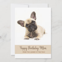 Joyeux anniversaire maman French Bulldog Photo