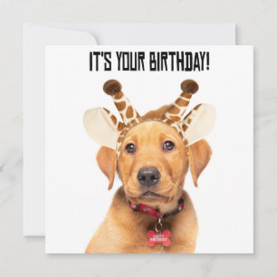 Cartes Pour Fêtes Annuelles Joyeux Anniversaire Mignonne Lab Puppy Dans Les Or