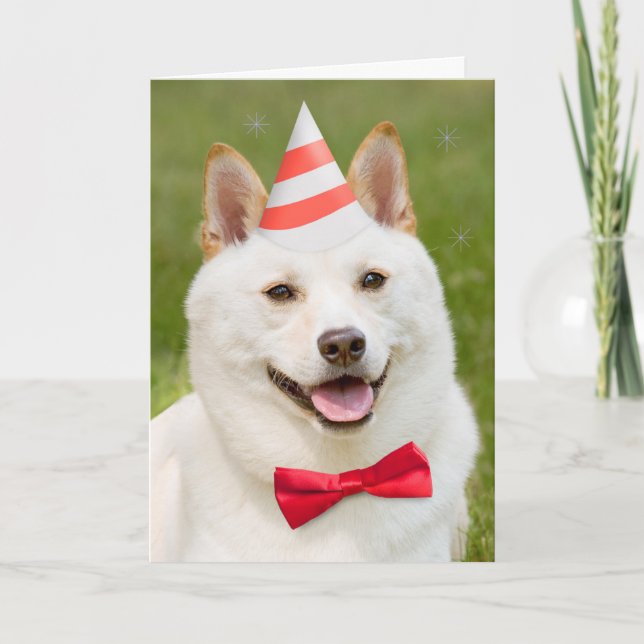 Cartes Pour Fêtes Annuelles Joyeux Anniversaire N'Importe Qui Shiba Inu Chien  (Devant)