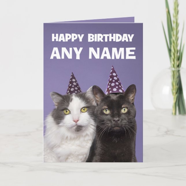 Cartes Pour Fêtes Annuelles Joyeux Anniversaire Personnalisé Nom Drôle Chats e (Devant)