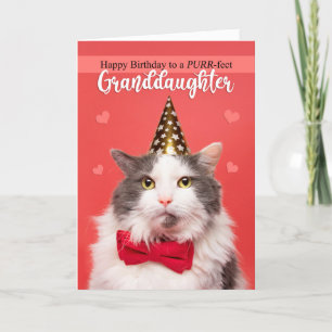 Cartes Pour Fêtes Annuelles Joyeux anniversaire petite-fille mignonne Chat en 