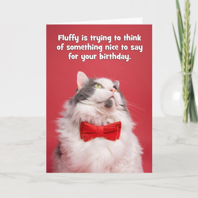 Cartes Pour Fêtes Annuelles Joyeux Anniversaire pour quiconque Coupe Chat en C (Devant)