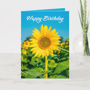 Cartes Pour Fêtes Annuelles Joyeux Anniversaire Pour Tous Beau Tournesol