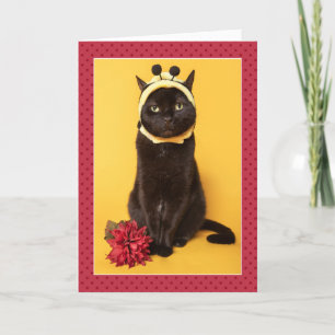 Cartes Pour Fêtes Annuelles Joyeux anniversaire pour toute personne drôle Chat