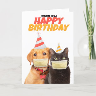 Cartes De Vœux Humour Danse Zazzle Ca