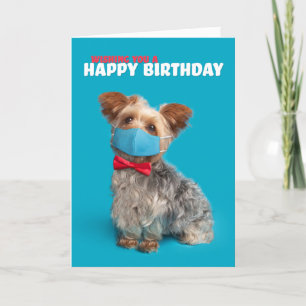 Cartes Pour Fêtes Annuelles Joyeux Anniversaire Yorkie Chien dans Coronavirus 