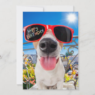 Cartes Pour Fêtes Annuelles Joyeux Birthday Dawg Dog dans les lunettes de sole