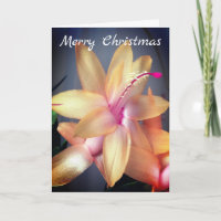 *~* Joyeux Cactus Flower Personnaliser