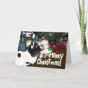 Cartes Pour Fêtes Annuelles Joyeux cadeau de Noël avec Rufus de chèvre