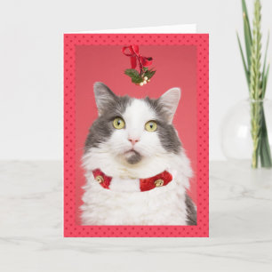 Cartes Pour Fêtes Annuelles Joyeux canard de Noël en haut Chat sous Mistletoe