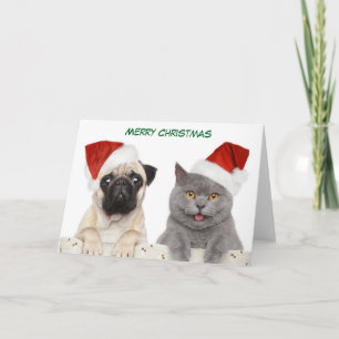 Cartes Pour Fêtes Annuelles Joyeux Carlin de Noël chien et Kittten