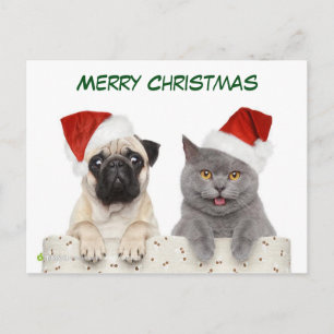 Cartes Pour Fêtes Annuelles Joyeux Carlin de Noël chien et Kittten