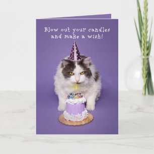 Cartes Pour Fêtes Annuelles Joyeux Chat d'Anniversaire Frottant Bougie Sur Hum